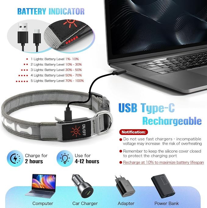 Flashseen LED Dog Collar Light up USB Rechargeable, 7-Color Glow, Grey, M