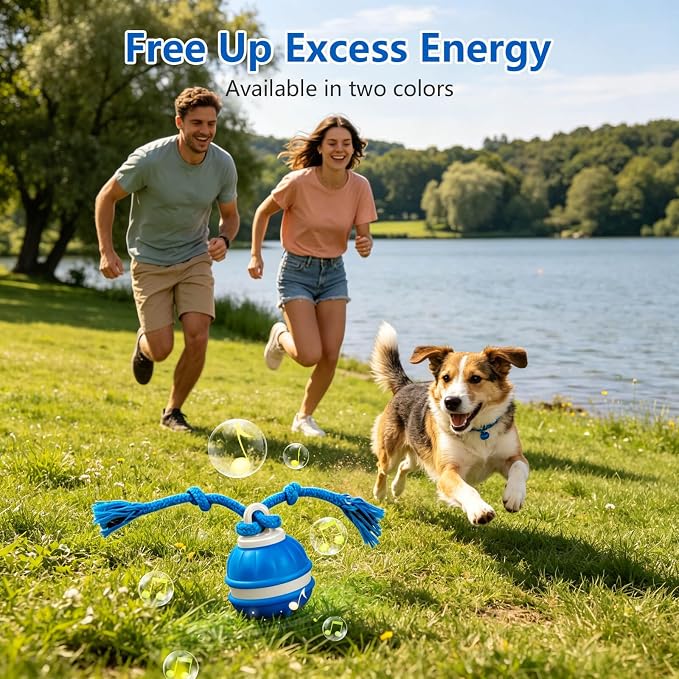 Interactive Dog Ball, 360° Self-Moving, USB-C, LED and Squeaker