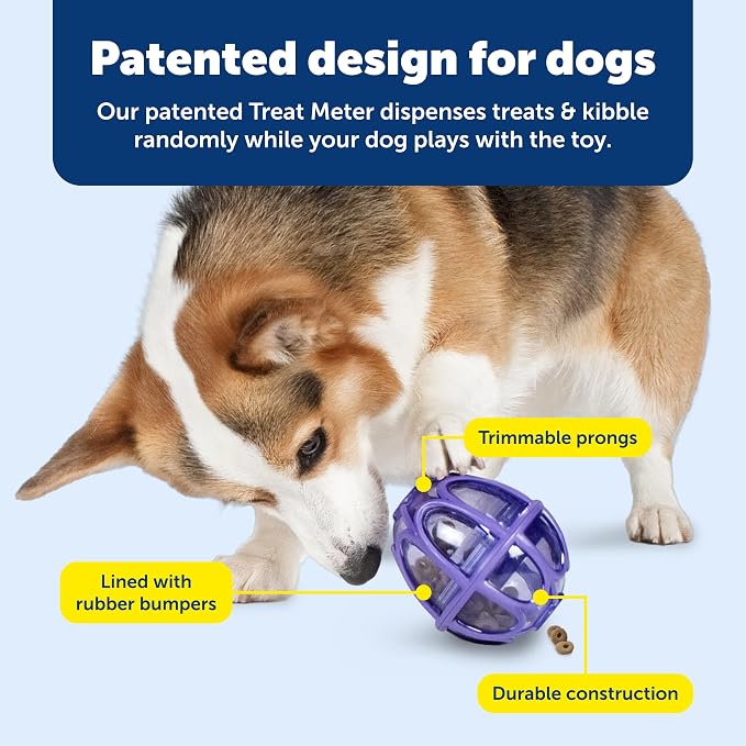 PetSafe Busy Buddy Kibble Nibble Treat Dispensing Dog Toy, Small | Slow Feeder Holds up to 3.5 Cups of Food, Adjustable Prongs Customize Treat Flow, Top-Rack Dishwasher Safe, Dogs Under 20 Lb