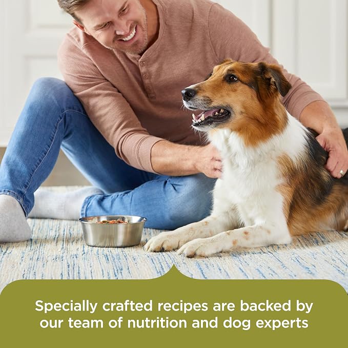 Nutrish Chicken Paw Pie Wet Dog Food, 8 oz. Tub (Pack of 8) (Rachael Ray) | Made with Sweet Potatoes & Green Beans, No Artificial Flavors, No Added Corn, Grain, Gluten or Soy Ingredients