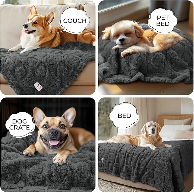Luciphia Small Dog Blanket Washable Pet Bed Cover Soft Fluffy Puppy Blanket with Premium Fleece 300GSM Cozy Calming Cat Blankets for Indoor Cats Grey 41x31 inch | Pink Blanket Washable for Medium/Large Dogs, Cute Cover on Bed Couch Crate Car, Puppy Ess...
