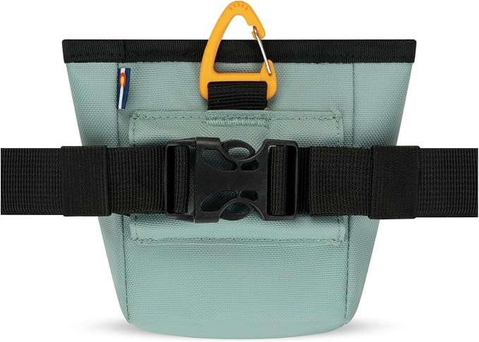 OllyDog, Goodie Treat Bag, Dog Treat Training Pouch | Magnetic Closure | 3 Ways to Wear | Hands-Free Waist Belt | Water-Resistant Recycled Vegan Fabric (Surf)