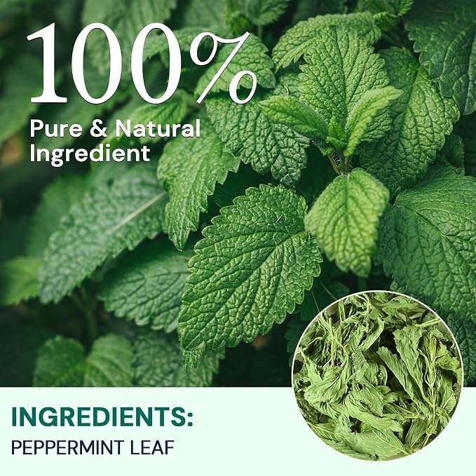 Hiihone Peppermint Tea Bags, Pure Peppermint Leaves, Fresh Minty Herbal Tea, Naturally Caffeine-Free, Non-GMO, Enjoy Hot or Iced, 50 Tea Bags