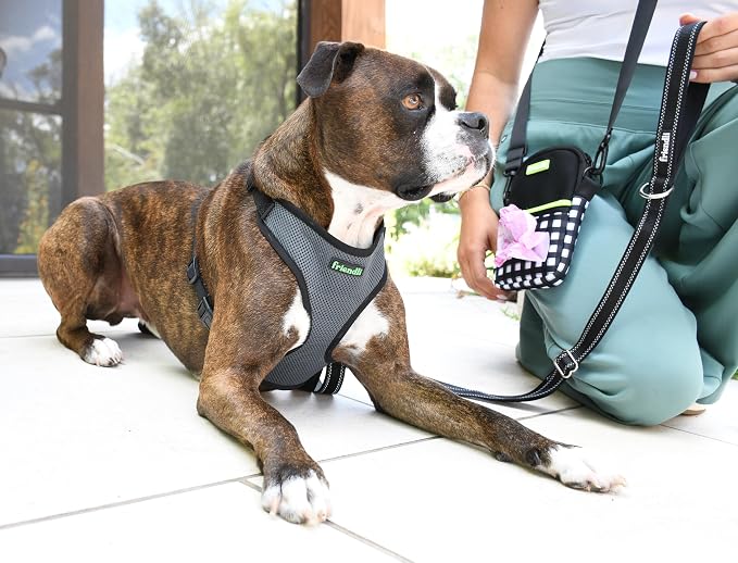 Neoprene Dog Treat Pouch – Compact Shoulder Bag with Food Storage, Waste Bag Dispenser, Durable, Lightweight, Easy Access, Adjustable Strap, Ideal for Walks & Training Sessions