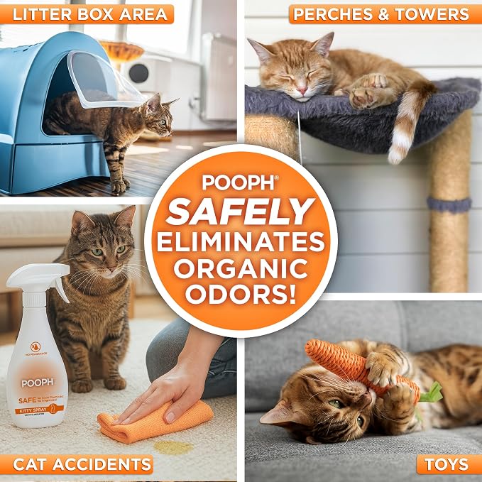 POOPH Kitty Odor Eliminator Spray for Cats, 32 oz - Pack of 2 | Helps eliminate cat odors on furniture, bedding, litter areas, and more. Fragrance-free 32 oz - Pack of 2 spray