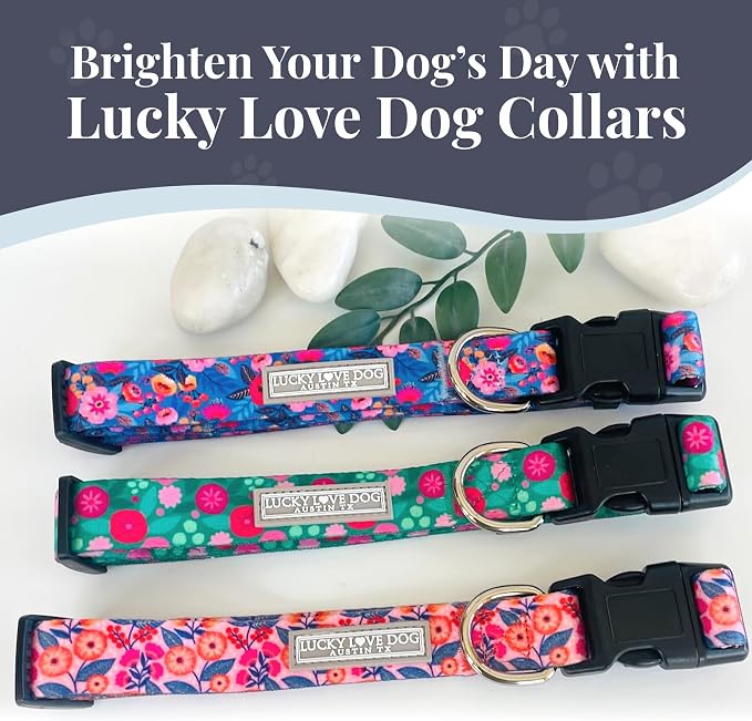 Lucky Love Dog Martingale Collar & Leash Set No Slip Cute – Rosie, Small