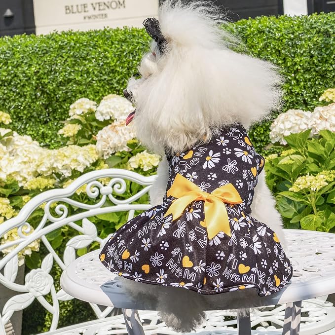 CuteBone Dog Mesh Dress Puppy Sundress Pet Outfit Summer Fashion for Small Dogs Girl Cat Clothes