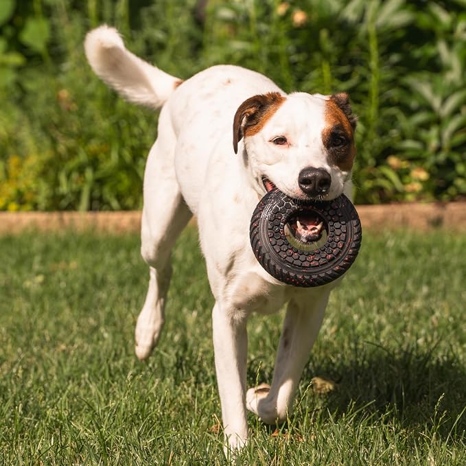 Chew King by Mammoth Supreme Rubber Ring Dog Toy, Durable Heavy-Duty Chew Toy for Aggressive Chewers, Thick Treaded Ring for Power Chewing & Interactive Play, Medium 6.2"