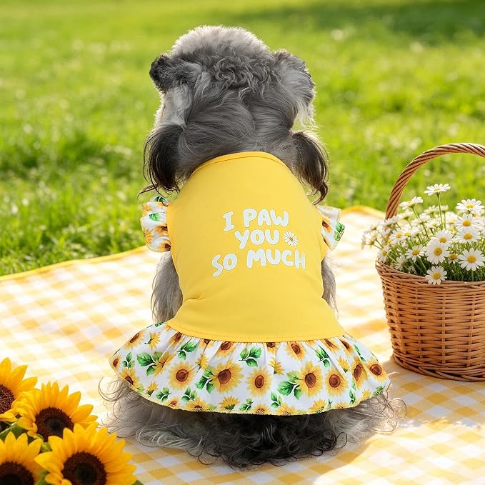 XPUDAC 4 Pack Cute Dog Dress for Small Dog, Floral Puppy Dress Sweet Girl Pet Skirt Outfits Colorful for Birthday Holiday Spring Summer Pet Clothes for Girls, L