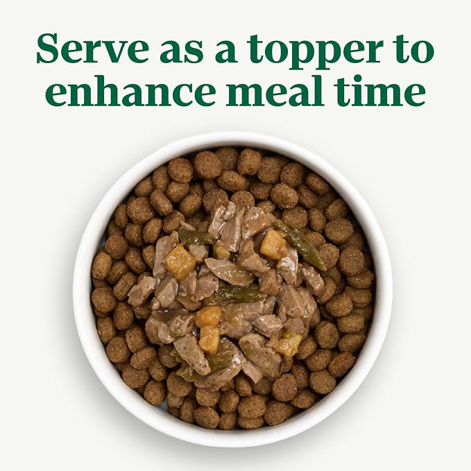 Nutro Hearty Stew Wet Dog Food, Roasted Turkey, 12.5 oz, 12 Pack | Grain-free, real meat #1 ingredient, no corn, wheat, soy, natural ingredients, made in USA, canned dog food