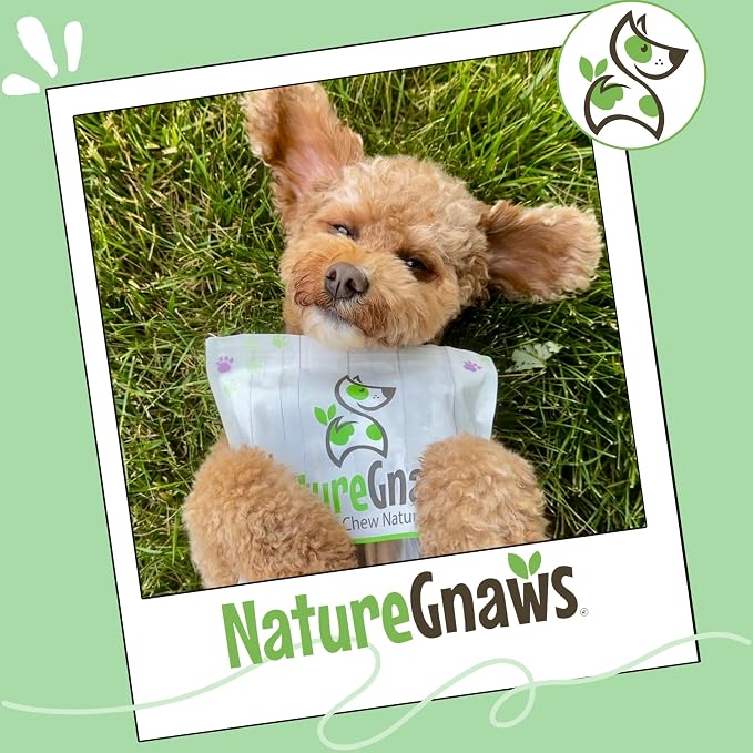 Nature Gnaws Braided Bully Twists for Dogs 5-6" (3 Count) - Long Lasting for Small and Medium Dogs - Natural Beef Dog Chew Bones
