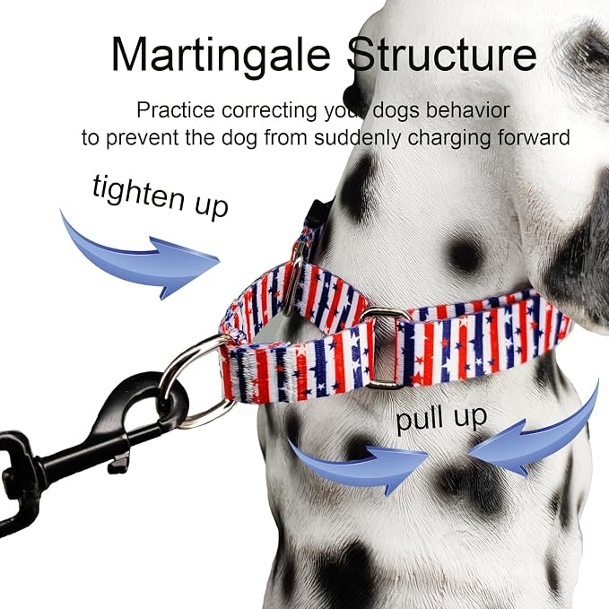 American Flag Martingale Dog Collar 4th of July Patriotic, Large