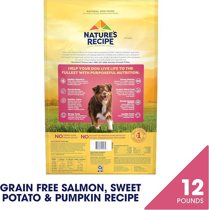 Nature's Recipe Grain Free Dry Dog Food, Salmon, Sweet Potato & Pumpkin Recipe, 12 lb. Bag | Fiber From Sweet Potatoes & Pumpkin Helps Support Digestion and Immune System Health
