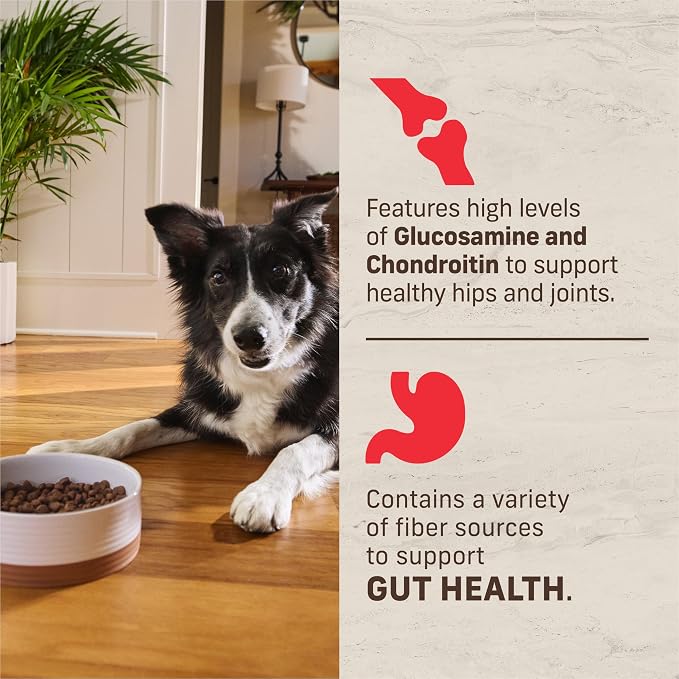 Merrick Kitchen Comforts Dog Food with Grains, Beef and Brown Rice, 4 lb Bag