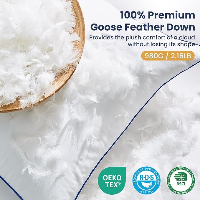 Down Pillow Inserts 20x20, Set of 2, 100% Goose Down Feather Throw Pillows Inserts, Triple-Layer Downproof, Decorative Pillow Insert with Soft Cotton Cover for Couch Sofa Bed Living Room