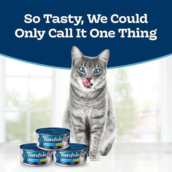 Blue Buffalo Tastefuls Chicken Paté Wet Cat Food, 5.5 oz, 24 ct | Real Chicken First, Paté Style, No Chicken By-Product, Corn, Wheat, or Soy