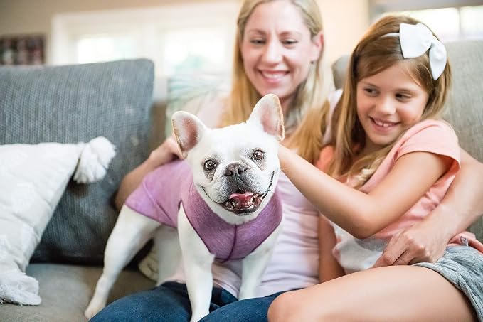 Sun Shield Dog Tee – T-Shirt for Canines – UV Protection, Pet Anxiety Relief, Wound Care – Protects Against Foxtails, Aids Alopecia - Machine Washable, All Season – Size 30 – Violet