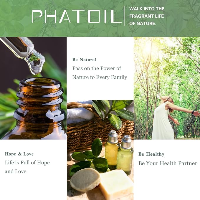 Pine Needles Essential Oil, 1.01Fl.Oz (30ML) PHATOIL Pure Essential Oil Singles for Aromatherapy Diffusers, Humidifiers, Great for DIY Candle and Soap Making, Gift for Friend