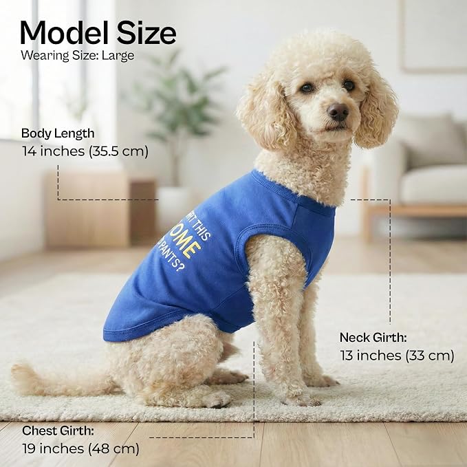Parisian Pet Dog Tshirt - Embroidered “ Awesome “ Dog Shirt - Pure Cotton and Lightweight Dog Clothes - Blue Sleeveless Pet Tee Shirts - Cute Puppy Clothes - Pet Shirts for Large Dogs Boy - XL