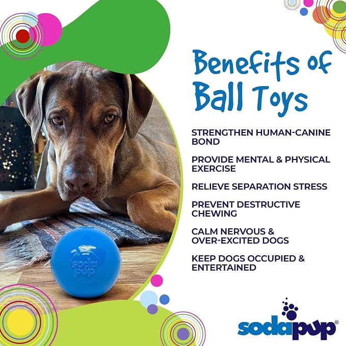 SodaPup Squeaker Ball – Durable Dog Ball Toy, Chew Toy & Floating Retrieving Toy with Squeaker Made in USA from Non-Toxic, Pet-Safe, Food Safe Rubber Material for Bonding, Physical Exercise, & More