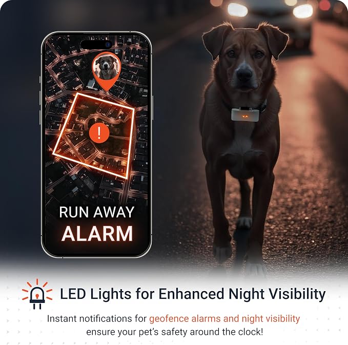 PAJ Dog GPS Tracker 3-Month Subscription Included, Real-time Pet Tracking