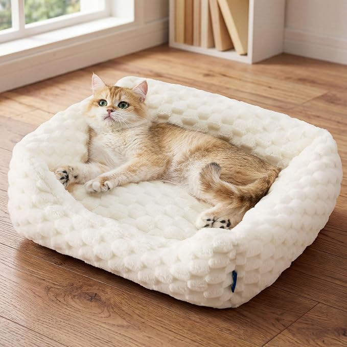 Bedsure Washable Fluffy Cute Cat Bed for Indoor Cats & Kitten,20 Inch Cream | Bubble Fleece Kitten Bed, Cuddler Cat Couch with Neck Bolster for Small Dogs, Machine Washable, Anti-Slip Base, Up to 8 lbs