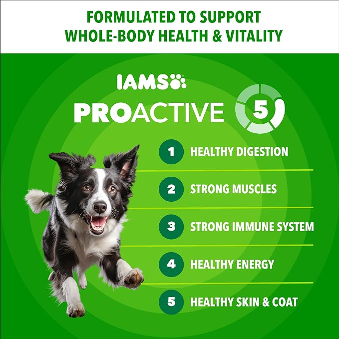 IAMS Proactive Health Adult Minichunks Dry Dog Food, Chicken, 3.3 lb | Real chicken #1 ingredient, no fillers, natural fiber & prebiotics, Omega-6 fatty acids, antioxidants for immune support