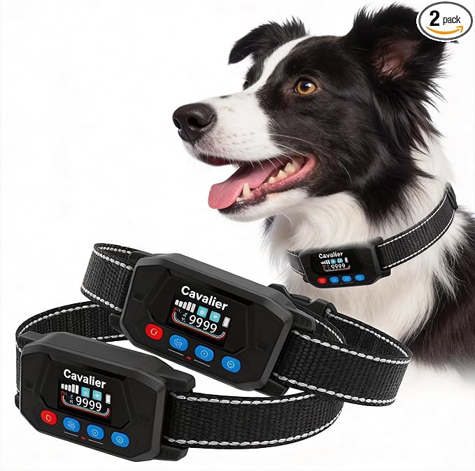 PATPET GPS Wireless Dog Fence System- Electric Fence for Dogs with 3 Warning Modes Waterproof 2 Collar | Safe Zone Radius up to 9999 ft| Outdoor Use Only | GPS Positioning
