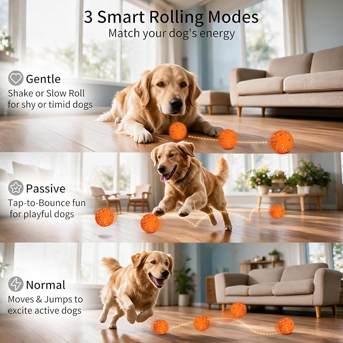 Interactive Dog Toys with Replacement Shell, Orange