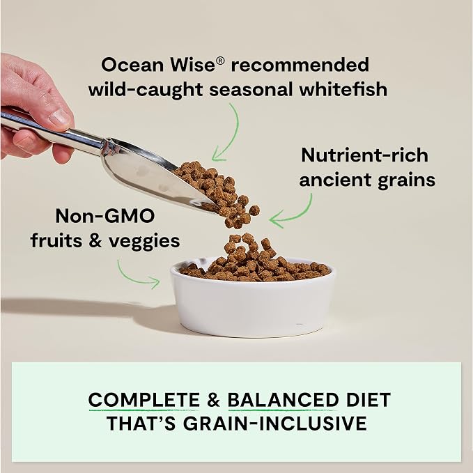 Open Farm Ancient Grains Dry Dog Food Wild Caught Whitefish Kibble, 4lb Bag | All Life Stages, All Breed Sizes, Protein-Rich & Nutrient Dense, 100% Traceable Ingredients, Non-GMO Fruits & Veggies.