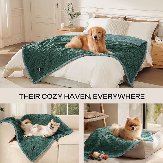 Luciphia Waterproof Dog Blanket, Reversible Sherpa Fleece for Couch Cover | Reversible waterproof pet blanket with soft Sherpa fleece; machine washable, protect couch bed car, Green-thicken 57" x 40"