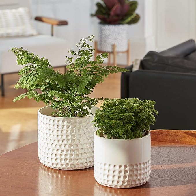 La Jolie Muse Ceramic Planter Flower Plant Pots- 6.7+5.5 Inch Concave Dot Patterned Cylinder Flower Pot W/ Drain Hole for Indoor, Set of 2, Ivory | 6.7+5.5 Inch, Ivory Dot Pattern Ceramic Planter with Drainage Hole, Decorative Planter Pots for Indoor P...