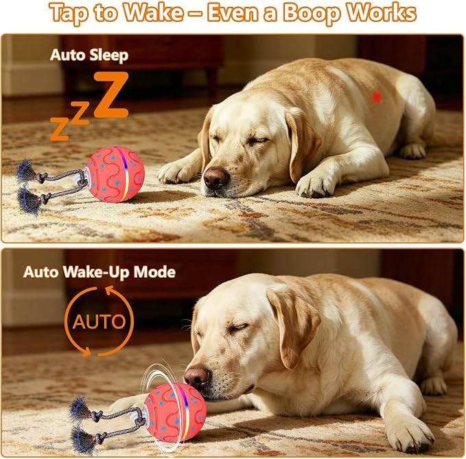Interactive Dog Ball Toy with 2 Rope, Automatic Rolling & Bouncing Smart Dog Toy with Bird Chirping Sound and LED Light, Soft ETPU Chew-Safe Material, USB Rechargeable, for Medium & Large Dogs