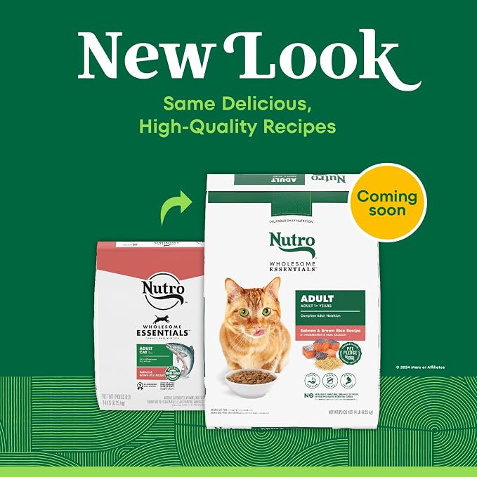 Nutro Wholesome Essentials Adult Dry Cat Food, Salmon & Brown Rice, 14 lb | Real salmon #1 ingredient, Omega-6 for skin & coat, prebiotic fiber for digestion, Vitamin E & Selenium antioxidants