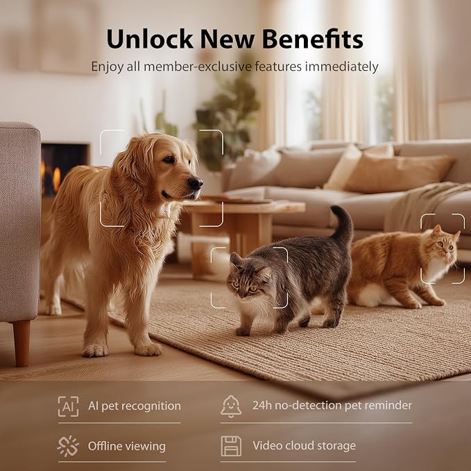 IMIPAW Automatic Cat Feeder with Camera - AI Pet Recognition & Recording, Night Vision, 5G WiFi APP Remote Control, Two-Way Audio & Desiccant Bag, Timed Programmable Food Dispenser for Small Pets