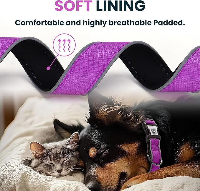 Reflective Dog Collar for Large Dogs,Personalized Dog Collar with Online Profile, Soft Neoprene Padded,Anti-Lose Function with QR Code Tag System, (Purple, M (12.6"-19.6"))