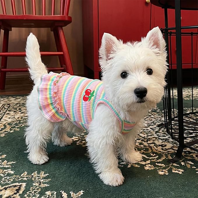 Jmkcoz Cute Striped Dog T Shirts Puppy Dress Pet Sleeveless Vest Clothes | Pink, Large, Soft, Lightweight, Breathable, Washable, Worn in All Seasons, Cherry Dog Shirts for Small Dogs Cats Chihuahuas
