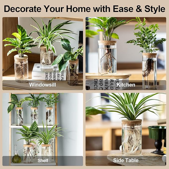 Propagation Vases for Plants, Set of 2(1 Large & 1 Small) Glass Plant Propagation Stations, Plant Propagation Jars for Home Office Windowsill Tabletop Decoration (2)