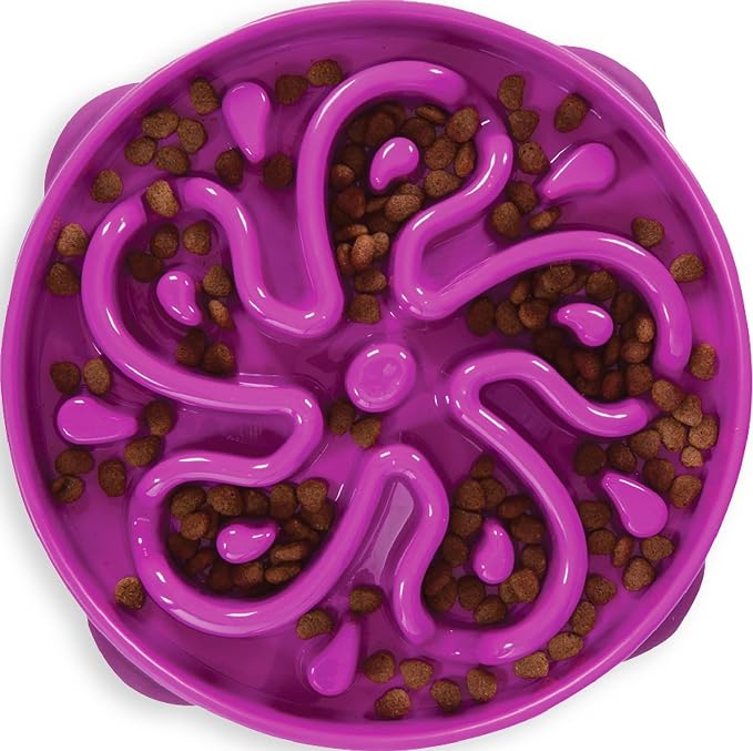 Outward Hound Fun Feeder Slo Bowl – Large 4‑Cup Capacity, Slow Feeding, Medium to Large Dogs, Non‑Slip, Purple, Flower Pattern