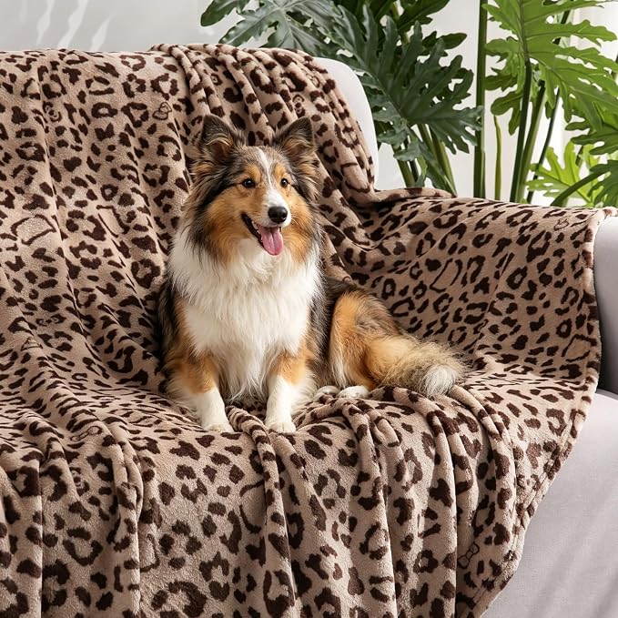 PU MEI Brown Leopard & Cheetah Print Fuzzy Flannel Blanket, Double Sided Ultra Cozy Super Soft Lightweight Animal Throw Blanket for Sofa, Couch, Bed, 50" x 60" inches