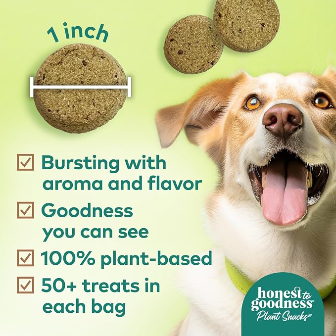 Honest to Goodness Plant Snacks Coconut & Flax Dog Treats, 8 oz | Crunchy, Plant-Based, Way to Glow Skin Coat Support, Enriched with Omega 3 Fatty Acids, Fortified with Postbiotics, USA Made