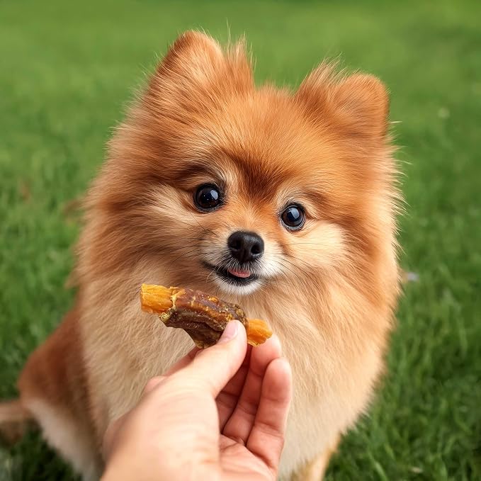 Pet 'n Shape Sweet Potato Chews Jerky Dog Treats - 16 Ounce | Premium duck breast, Sweet potato recipe, Limited ingredients, Wheat and soy free, Bite-sized snack, For all life stages
