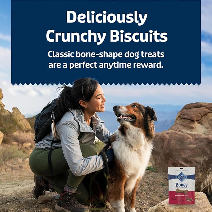 Blue Buffalo Bones Beef Large Dog Biscuits, 16 oz, 4 ct | Real Beef First, Classic Bone-Shaped Biscuit, No BHA, Meat & Bone Meal, or Artificial Preservatives