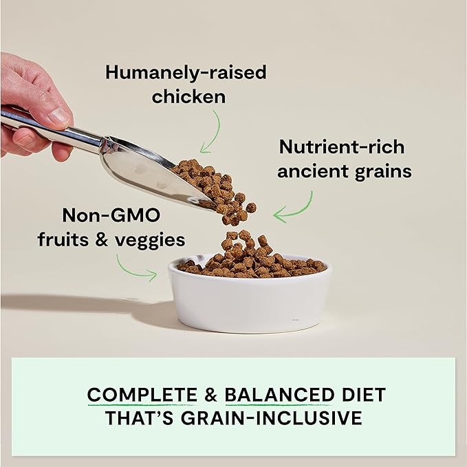 Open Farm Ancient Grains Dry Dog Food, Harvest Chicken Kibble, 4lb Bag | All Life Stages, All Breed Sizes, Protein-Rich & Nutrient Dense, 100% Traceable Ingredients, Non-GMO Fruits & Veggies.