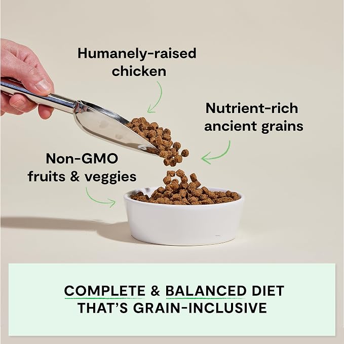 Open Farm Ancient Grains Dry Dog Food, Harvest Chicken Kibble, 22lb Bag | All Life Stages, All Breed Sizes, Protein-Rich & Nutrient Dense, 100% Traceable Ingredients, Non-GMO Fruits & Veggies.