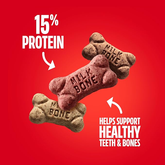 Milk-Bone Flavor Snacks Mini’s Dog Biscuits, Flavored Crunchy Dog Treats, 36 Oz. Canister | 5 calories per treat, 15% protein, 3 flavors per canister (beef, chicken & bacon, naturally & artificially flavored)