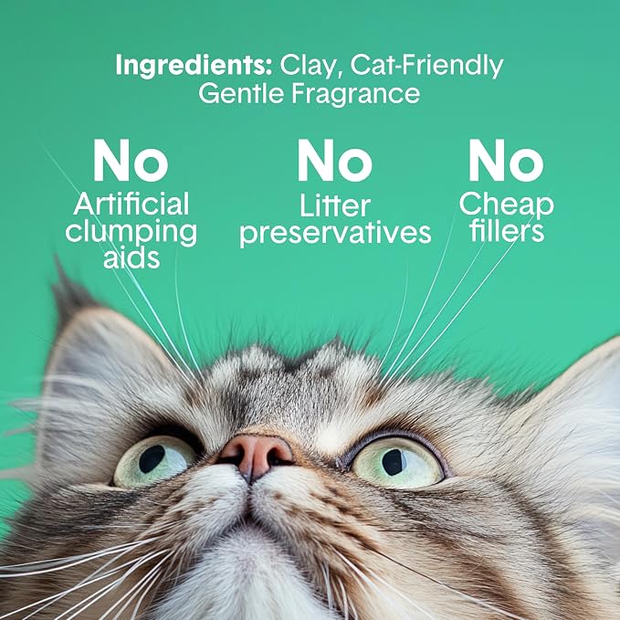 Boxie Premium Scented Clumping Cat Litter 30+ Day Odor Control 40 lb
