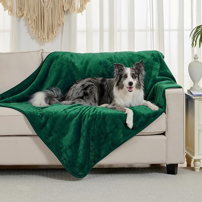 Soft Waterproof Blanket for Bed Couch Sofa, Green, 60x80 inches | Liquid Pee Proof Pet Blanket for Dog Puppy Cat, Reversible Sherpa Fleece Blanket for Couch Cover, Furniture Protector