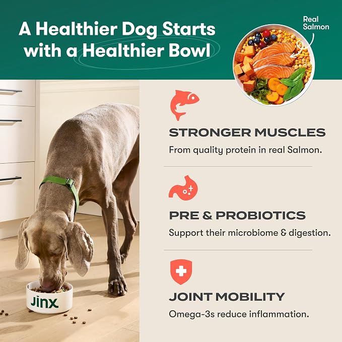 Jinx Grain Free Dry Dog Food - Real Salmon, Sweet Potato & Carrot, 4lb | Premium Kibble for Digestive Support & Healthy Immunity - No Fillers, All Lifestages (Puppy, Adult & Senior), Breeds & Sizes