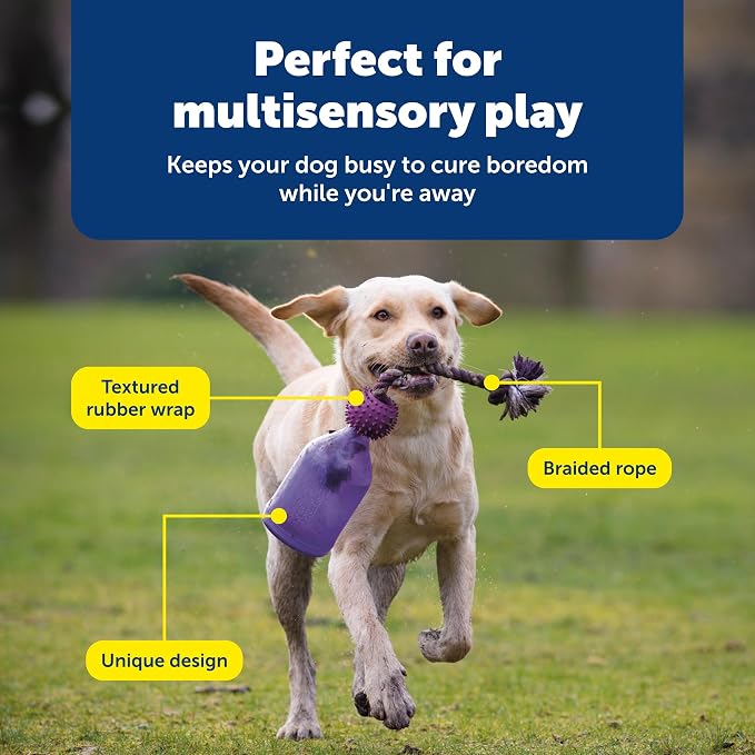 PetSafe Busy Buddy Tug-A-Jug Treat Dispensing Dog Toy, Small | Slow Feeder Toy Holds Kibble, Patented Treat Meter Dispenses Treats Randomly, Top-Rack Dishwasher Safe, for Dogs 10-40 Lb